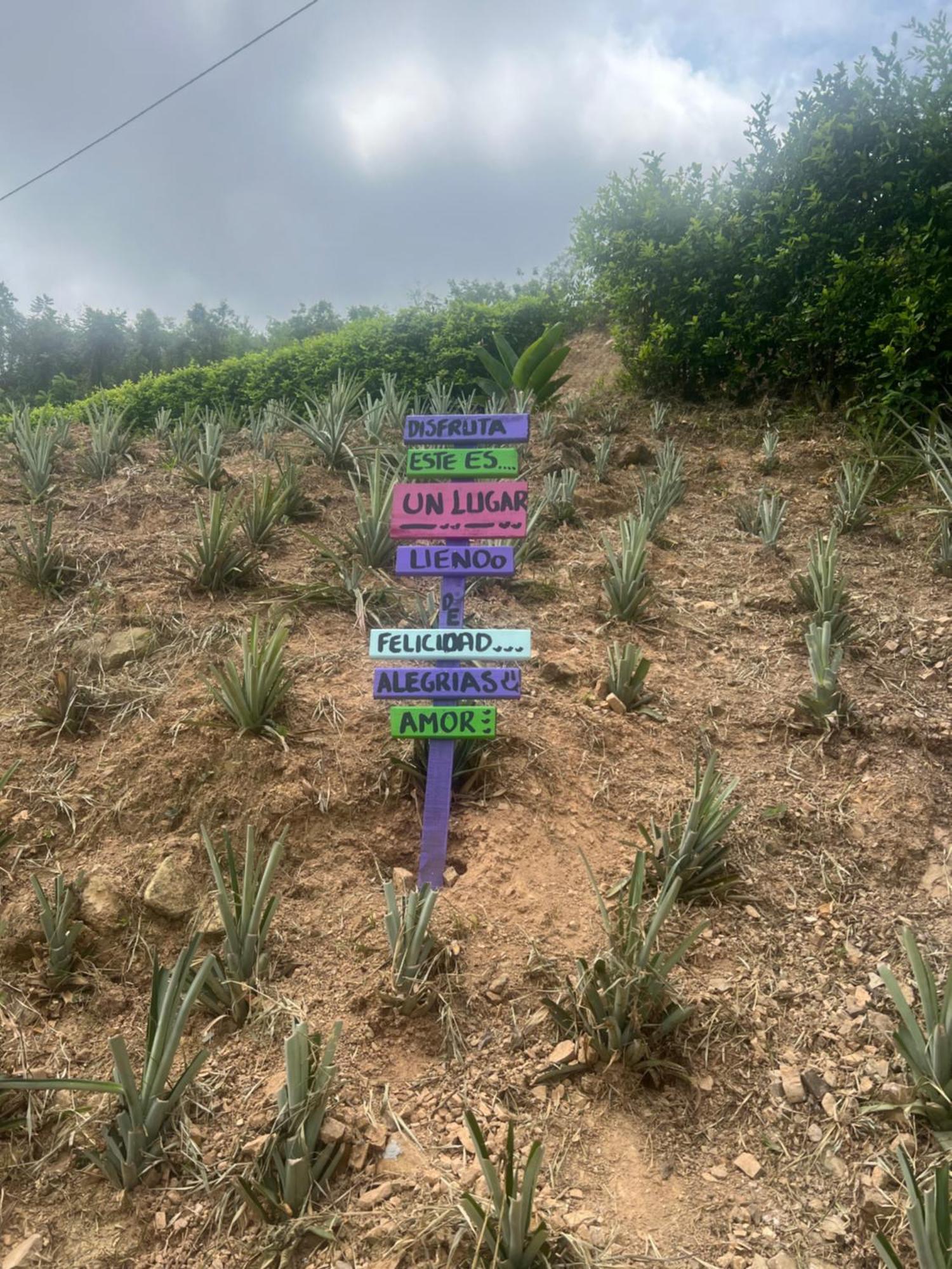 מלגאר Finca Don Matias מראה חיצוני תמונה